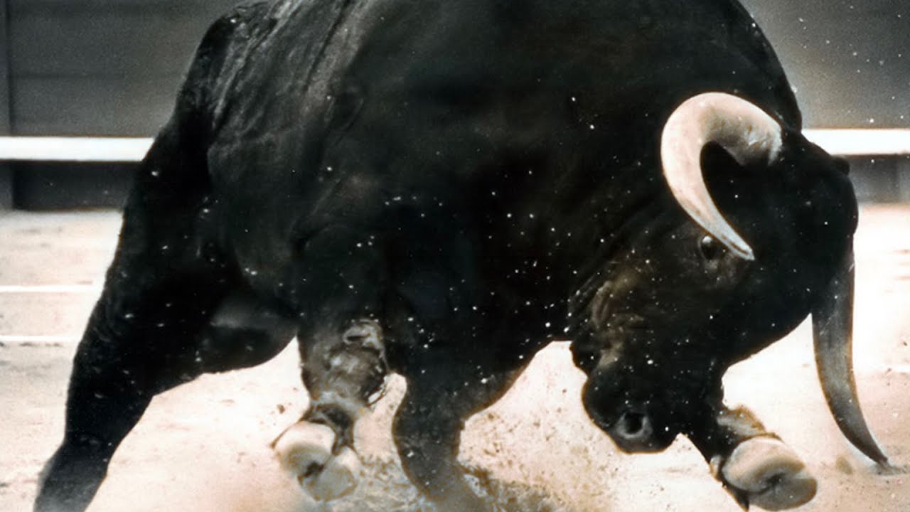 End of the Stupid Bull Run