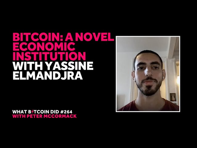 Bitcoin: A Novel Economic Institution