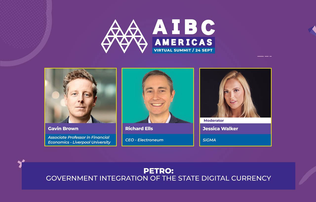Petro: Government Integration of the State Digital Currency