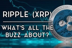 Ripple (XRP) | What’s All the Buzz About?