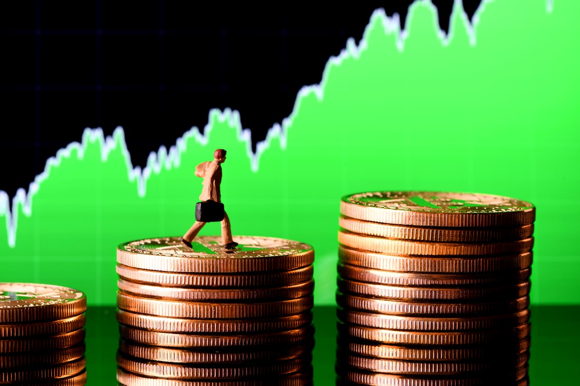 Does the Price Matter for Adoption?