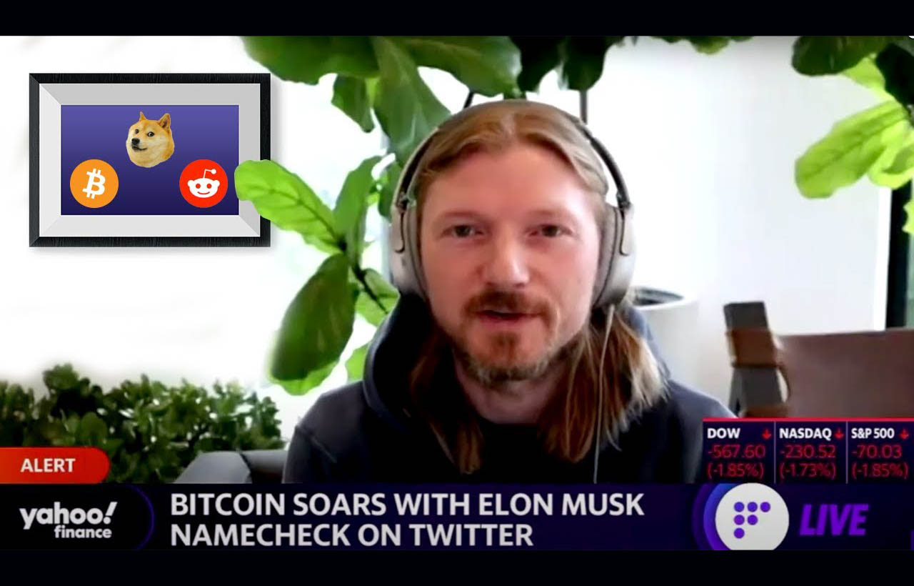 Jesse Powell on Bitcoin Outlook, Reddit & DOGE