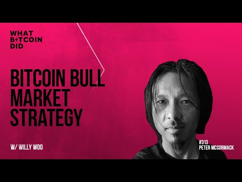 Bitcoin Bull Market Strategy – Feb ‘21 Trading Update with Willy Woo
