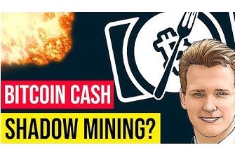 Will Bitcoin Cash Survive? Fork Aftermath