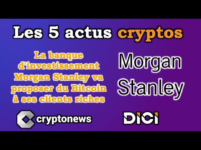 Les 5 actus cryptos de la semaine: Morgan Stanley, Bitcoin, Stablecoin, Visa, NFT