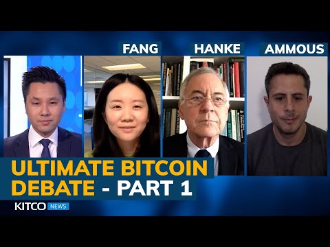 Debatte: Ist Bitcoin 100k USD wert oder 0? (Teil 1 & 2)