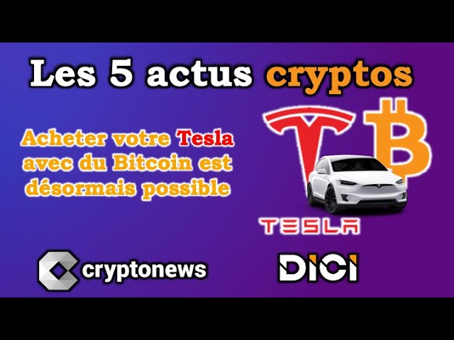 Les 5 actus cryptos de la semaine: Tesla, Bitcoin, FED, BitClout, Maroc, Art