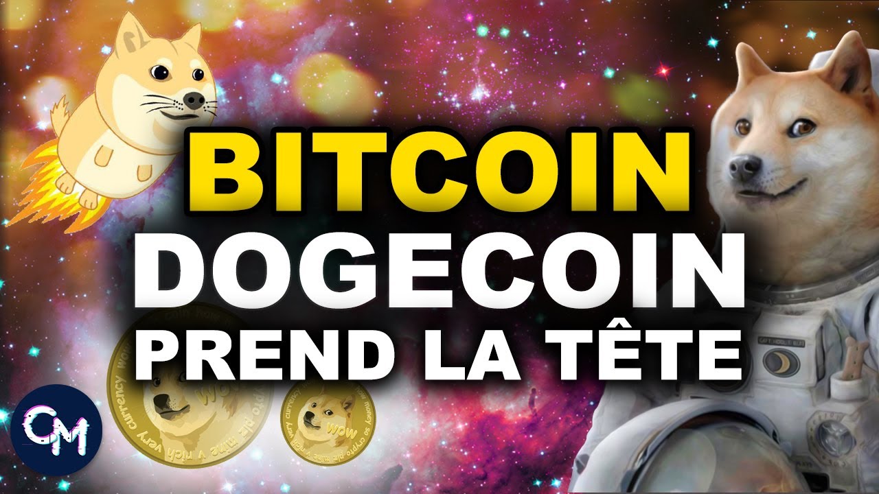 BITCOIN RETRACE ? DOGECOIN PREND LA TÊTE ? ?