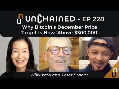 Why Bitcoin’s December Price Target Is Now ‘Above USD 300,000’