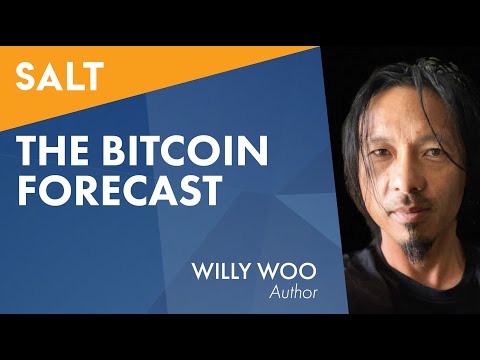 Willy Woo: Die Bitcoin-Prognose