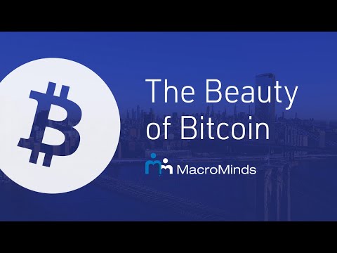 Ross Stevens: The Beauty of Bitcoin