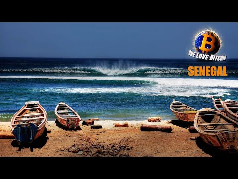 Building on Lightning for Africa with Fodé Diop