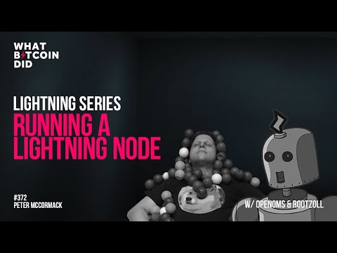 Running a Bitcoin and Lightning Node with RaspiBlitz