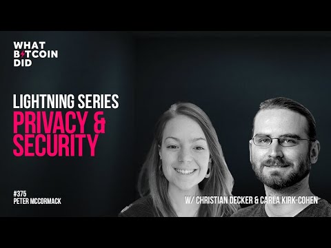 Lightning Network: Privacy and Security