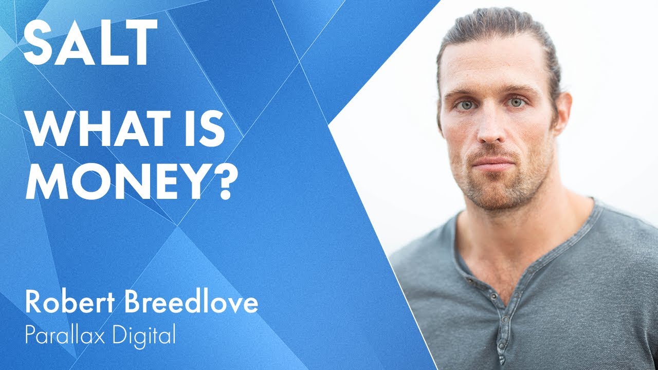 Robert Breedlove: What is Money?