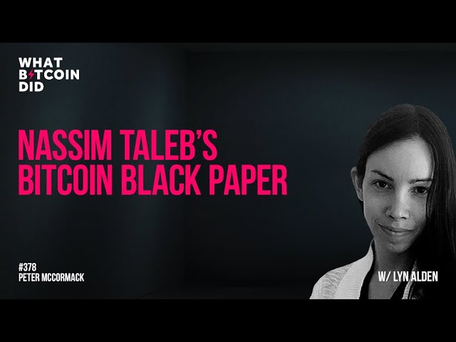 Analysing Nassim Taleb’s Bitcoin Black Paper with Lyn Alden