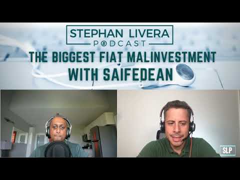 The Biggest Fiat Malinvestment – Saifedean Ammous