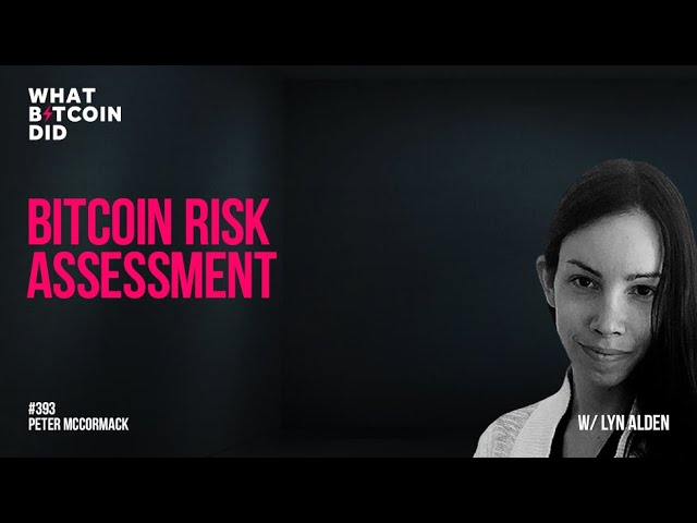 Bitcoin Risk Assesement w/ Lyn Alden