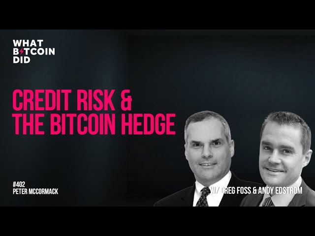 Credit Risk and The Bitcoin Hedge