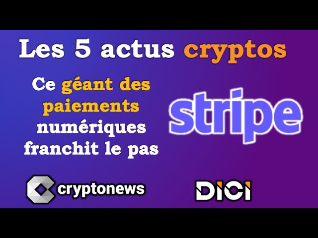 Les 5 actus cryptos de la semaine: Stripe, Bitcoin, Minage, Russie, DeFi