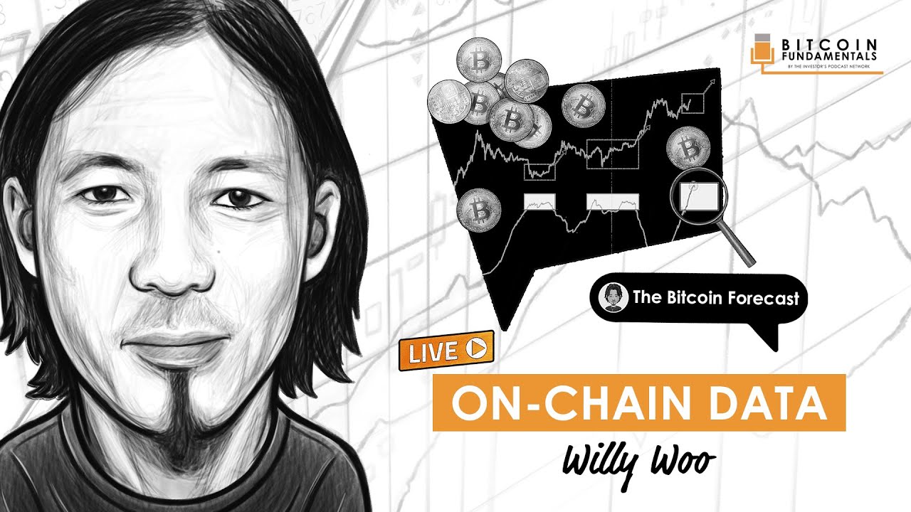 Analysing Bitcoin On-chain Data w/ Willy Woo