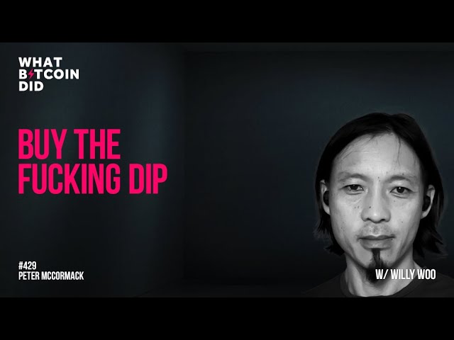 Buy the F*****g Dip with Willy Woo