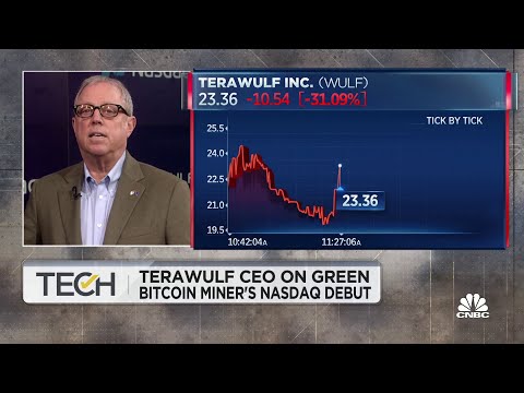TeraWulf Will Mine Green Bitcoin, Will Be Among Winners: CEO