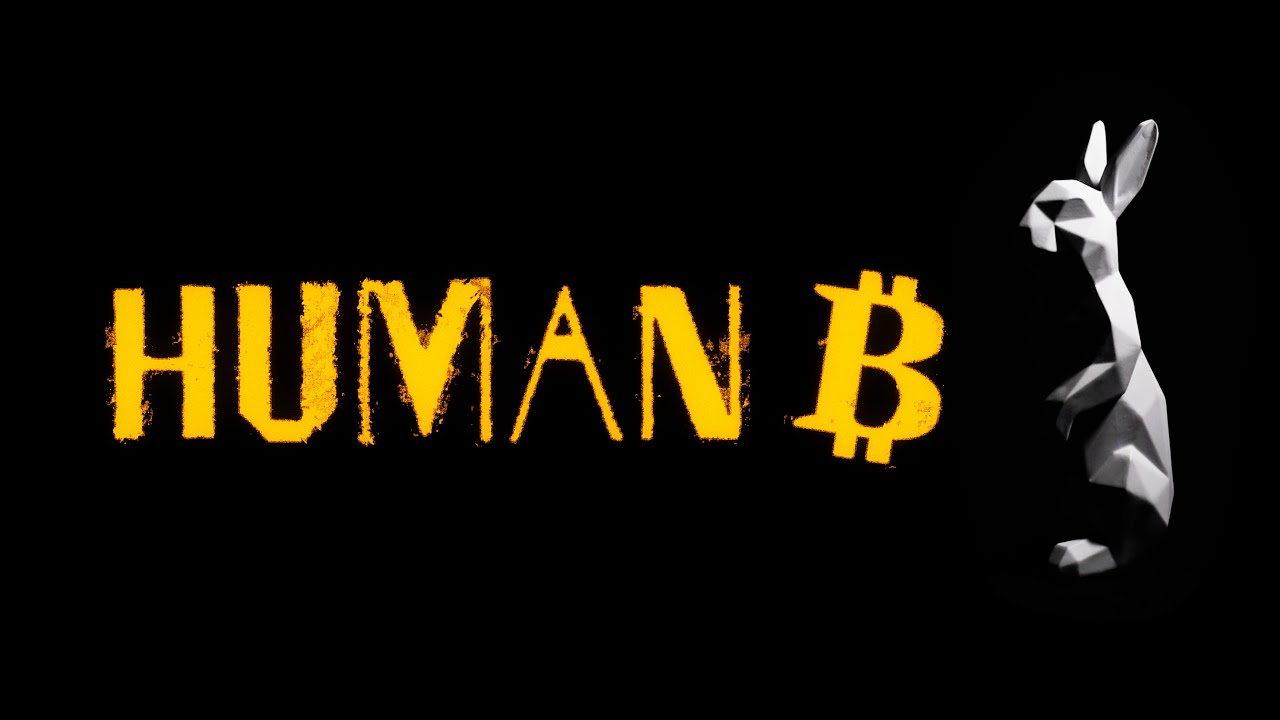 Human B: The Insight Journey Into The Bitcoin Rabbit Hole (2021 Film)