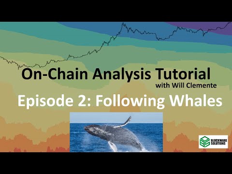 Bitcoin On Chain Analysis: Following Whales