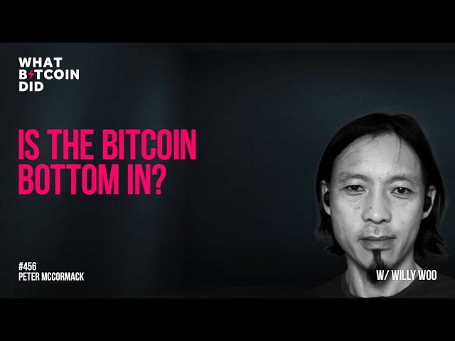 Is the Bitcoin Bottom In?