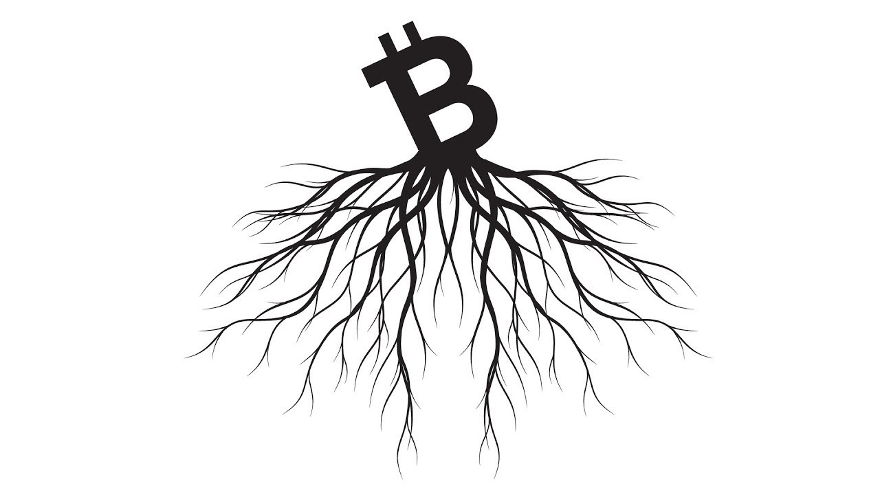 Why Fungi Make Bitcoin Inevitable