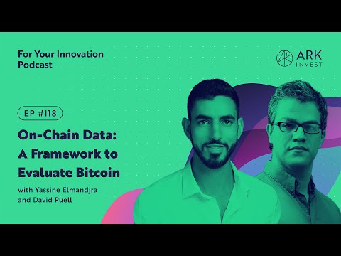 On-Chain Data: A Framework to Evaluate Bitcoin