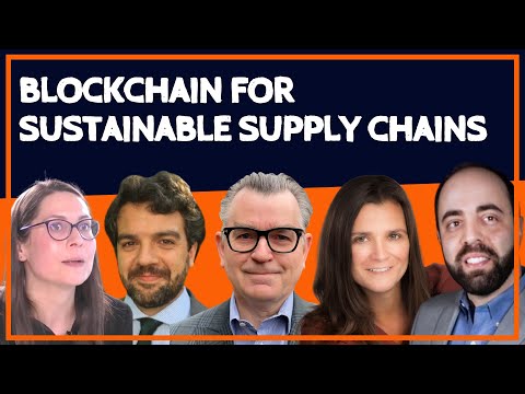 Blockchain to Support Sustainable Supply Chains