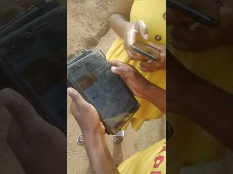 South Africa’s Surfer Kids Using Bitcoin to Buy Products with Lightning