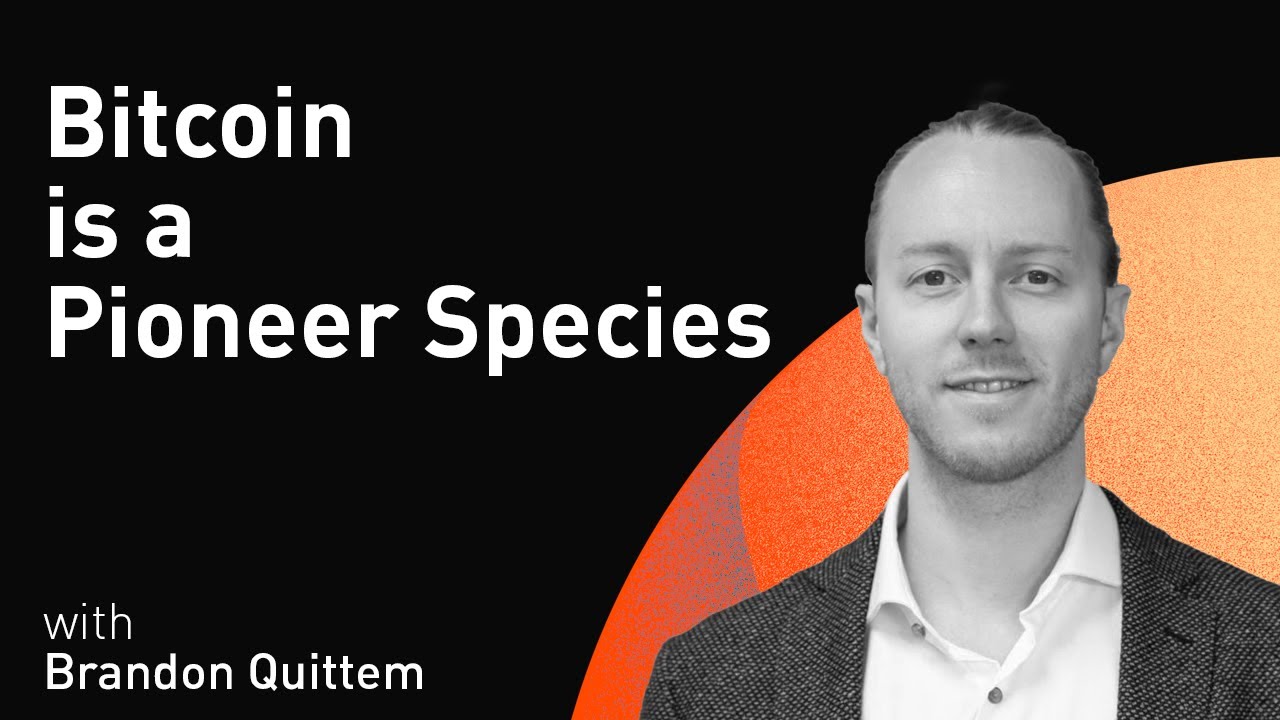 Bitcoin is a Pioneer Species with Brandon Quittem