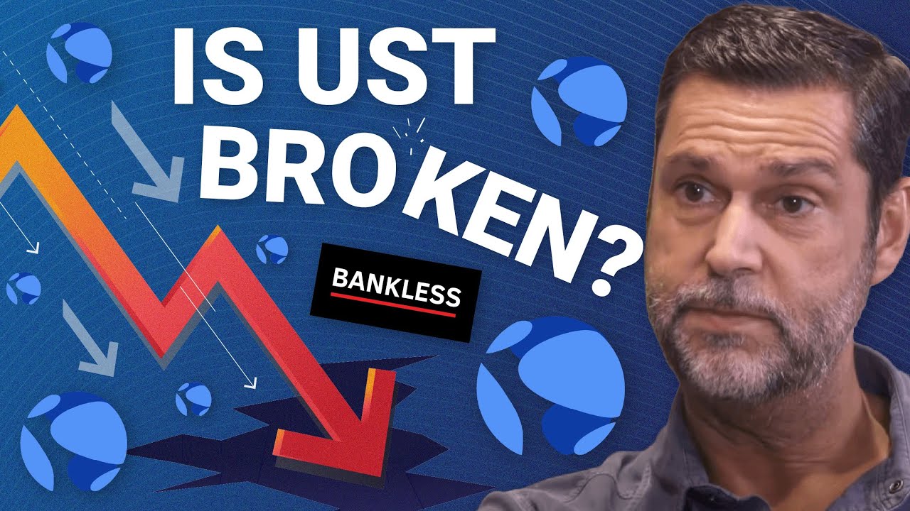 Raoul Pal Explains the UST (Terra) Meltdown