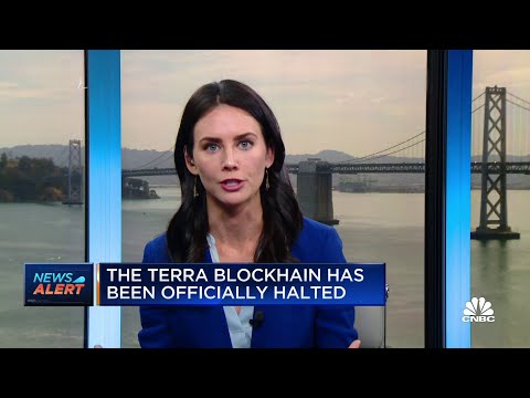 Terra Blockchain Is Now Officially Halted
