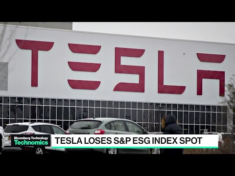 Elon Musk Calls ESG Metrics a ‘Scam’