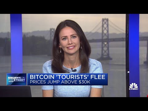 Bitcoin ‘Tourists’ Flee As Price Ticks Above USD 30,000