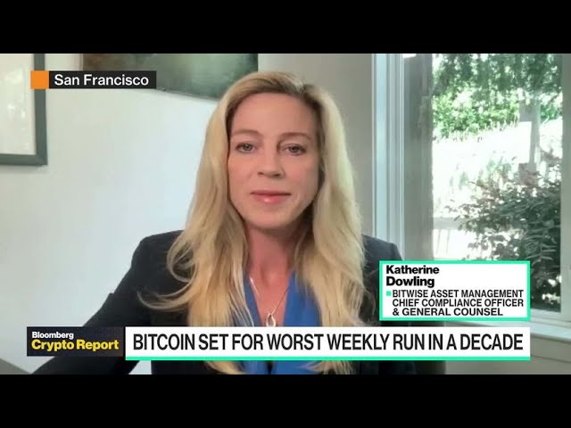 TerraUSD Is the ‘Pets.com’ of Our Time