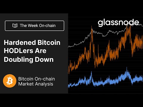 Hardened HODLers Double Down – Week 22, 2022