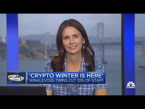 ‘Crypto Winter Is Here,’ Says Winklevoss Twins