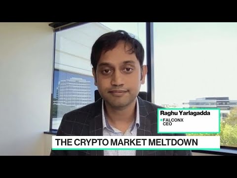 FalconX CEO on Institutional Sentiment