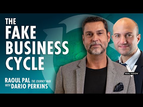 A New Paradigm – Raoul Pal & Dario Perkins