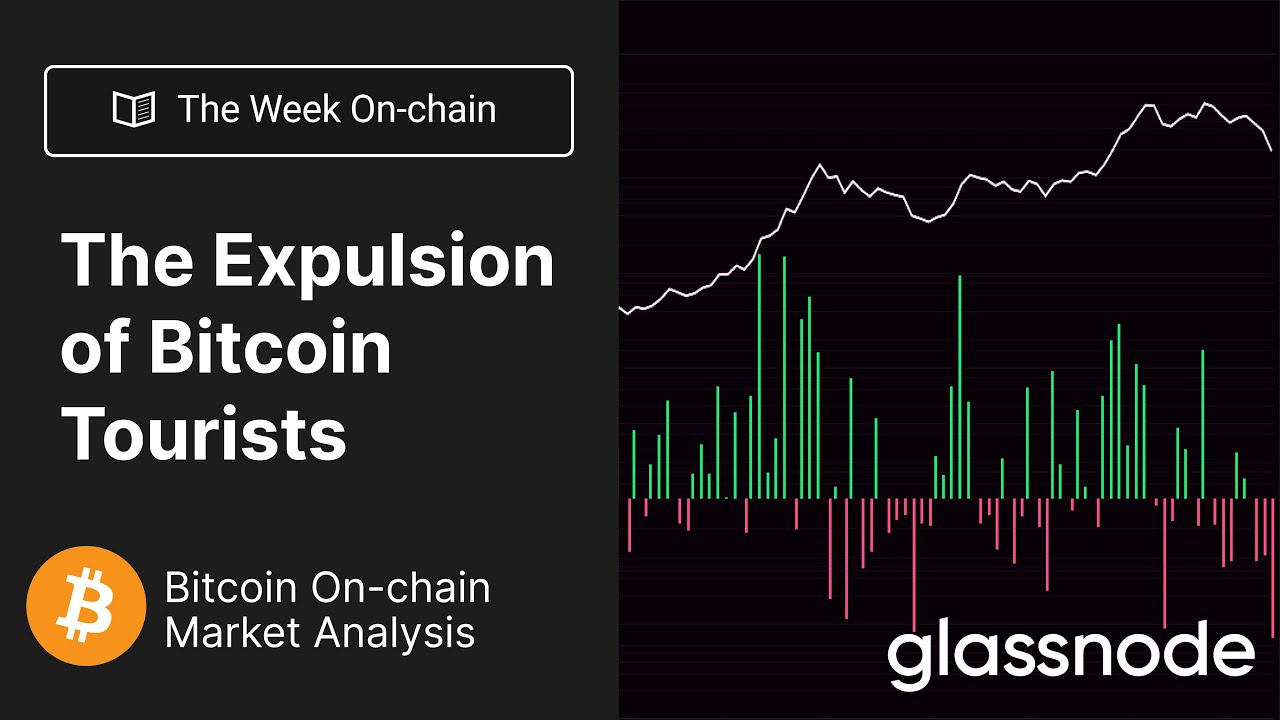 The Expulsion of Bitcoin Tourists – Week 27, 2022