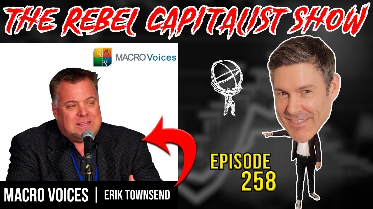 Erik Townsend on Global Recession, Future Gas Price, Food & Energy Inflation