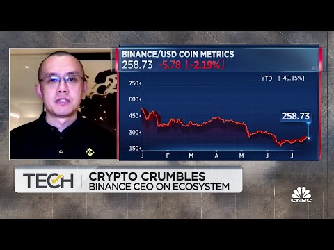 Many Players Haven’t Managed Cash Reserves Well, Says Binance CEO