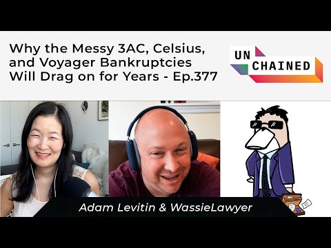 Why the Messy 3AC, Celsius, and Voyager Bankruptcies Will Drag on for Years