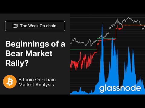 The Week On-chain: Beginnings of a Bear Market Rally?