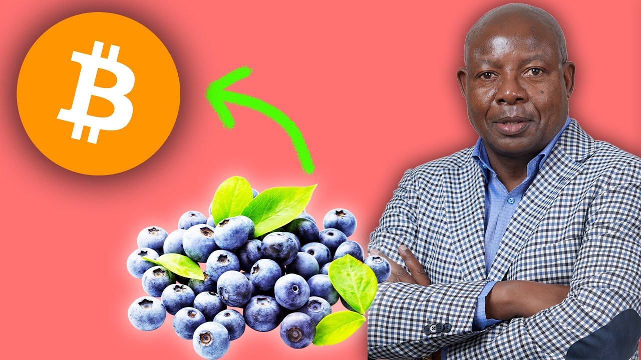 Blueberries for Bitcoin in Zimbabwe – Dr. Edwin Moyo